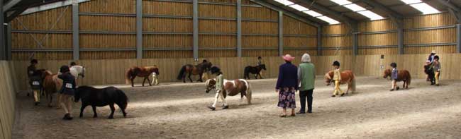 Wessex Group Summer Shows 2013